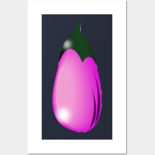 Eggplant tee-tshirt-hoodie Posters and Art